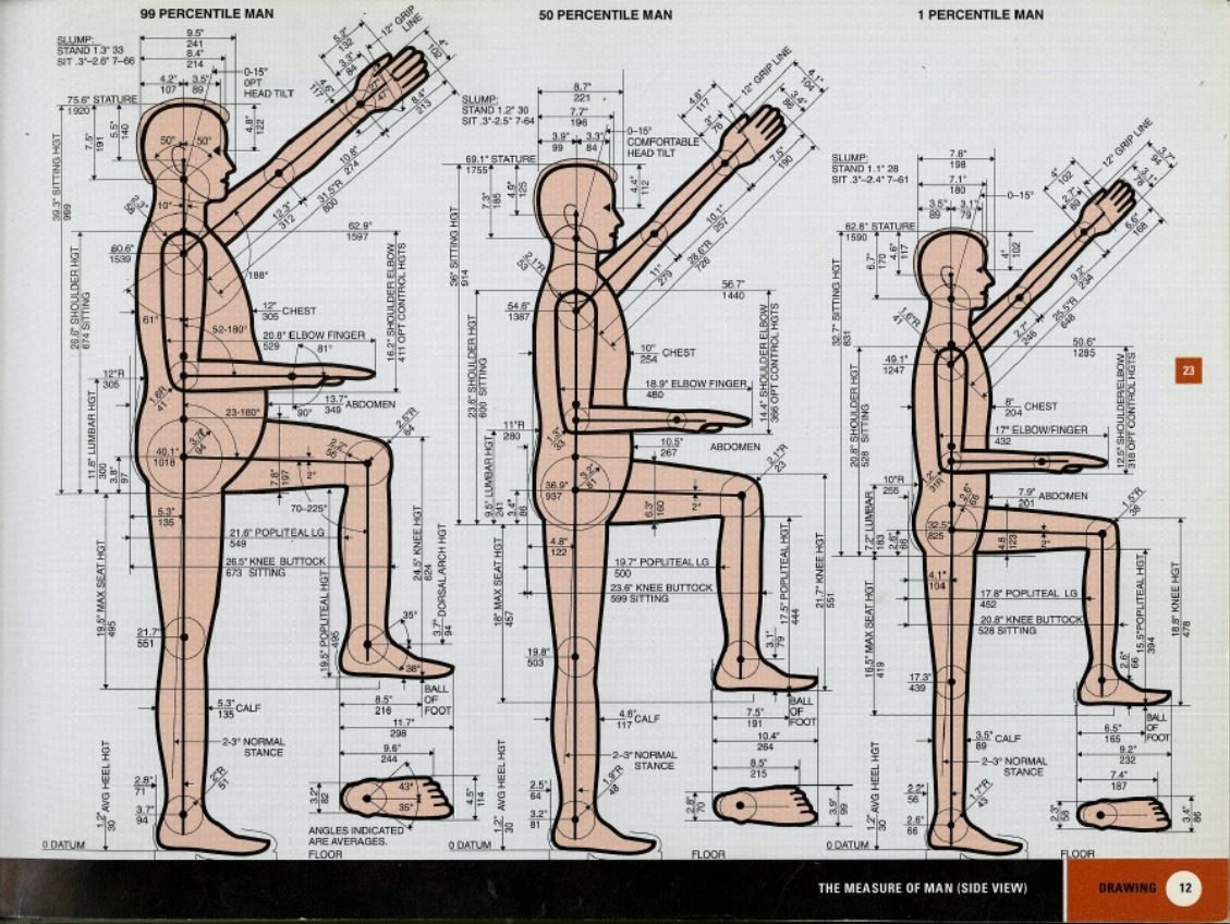 anthropometry